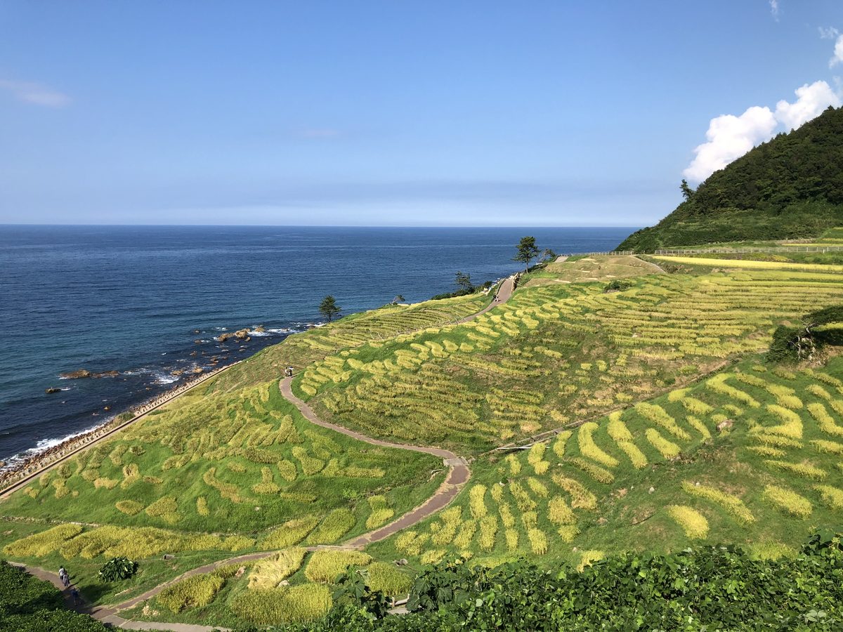 Shiroyone Senmaida: The Thousand Rice Paddies of Noto