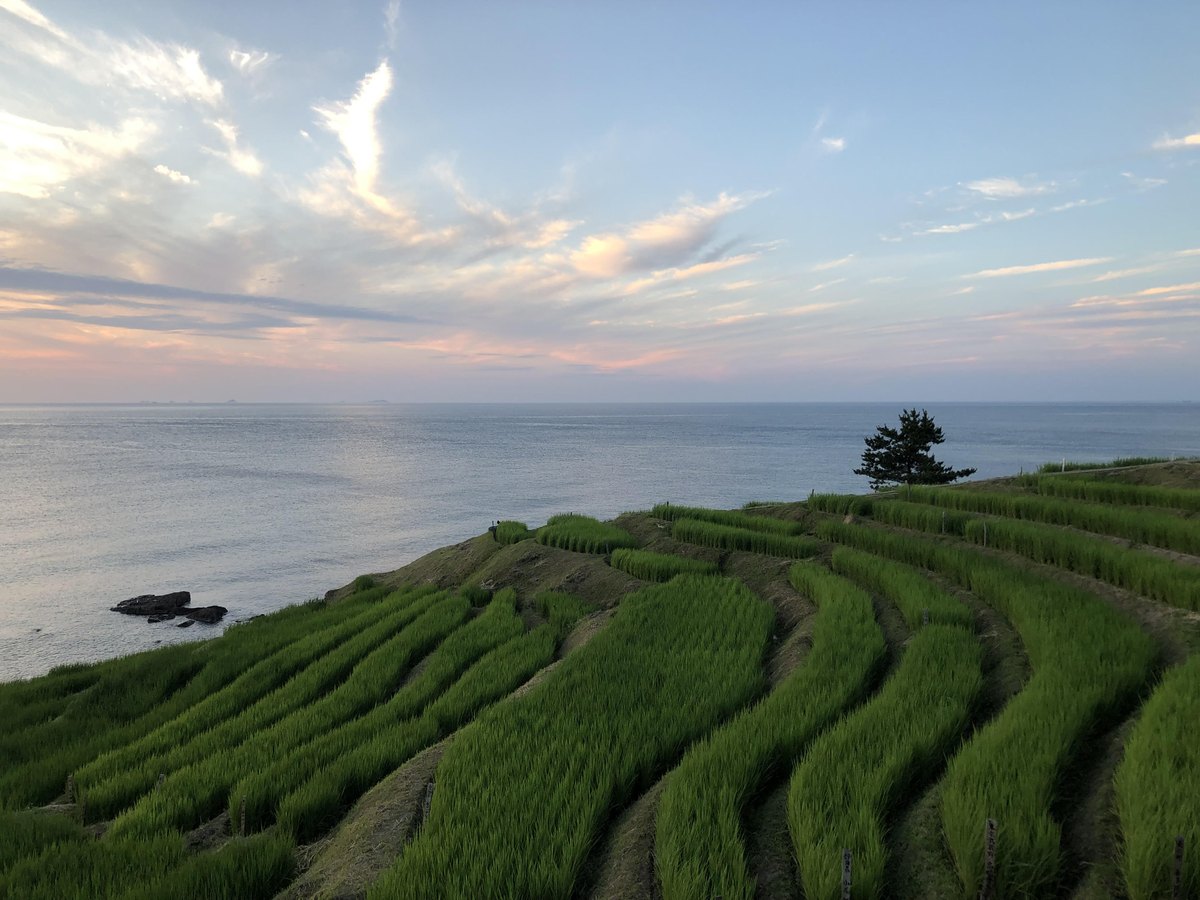 Shiroyone Senmaida rice terraces facing the Sea of Japan in Noto