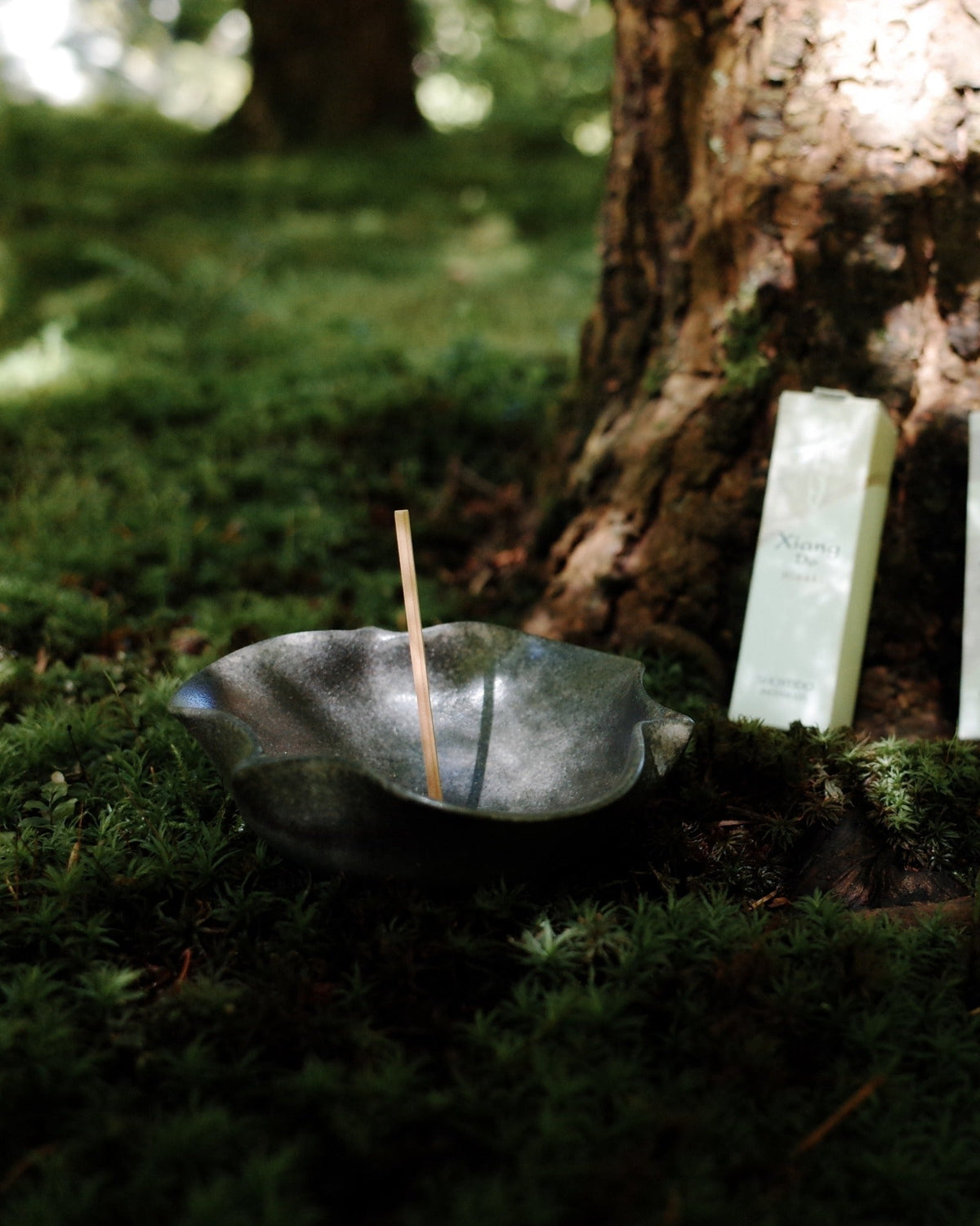 Suzu-yaki incense plate with a single Xiang Do stick among moss at Nitobe Memorial Garden