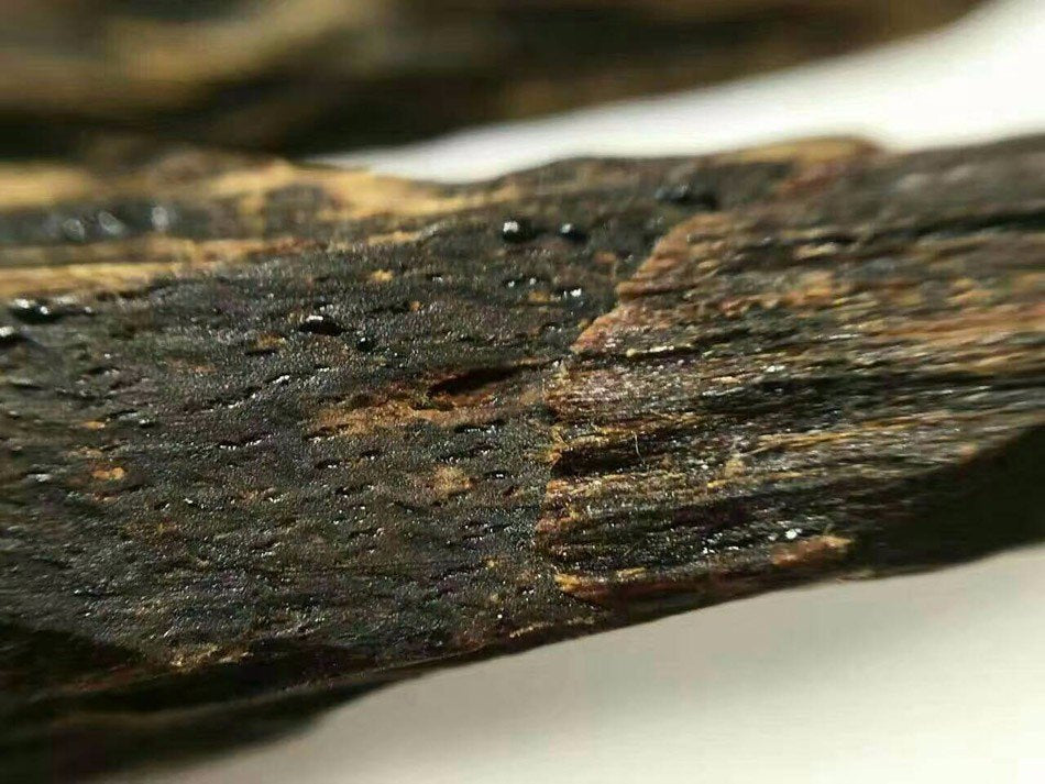 Close-up of resin-rich kyara grade agarwood